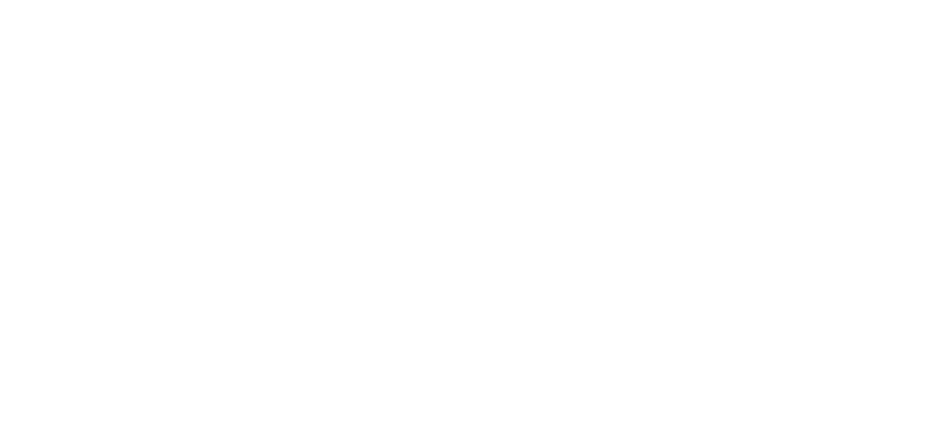 León ayuntamiento